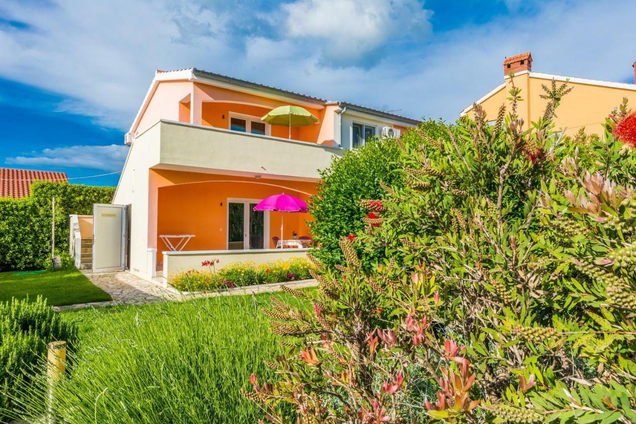 זאטון Apartmani Albi מראה חיצוני תמונה